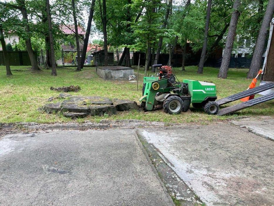 Karczowanie czyszczenie i rekultywacja działek mulczer leśny, wycinka