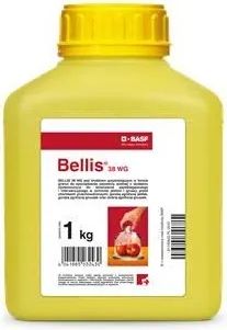 Bellis 1kg 38 wg Promocja!