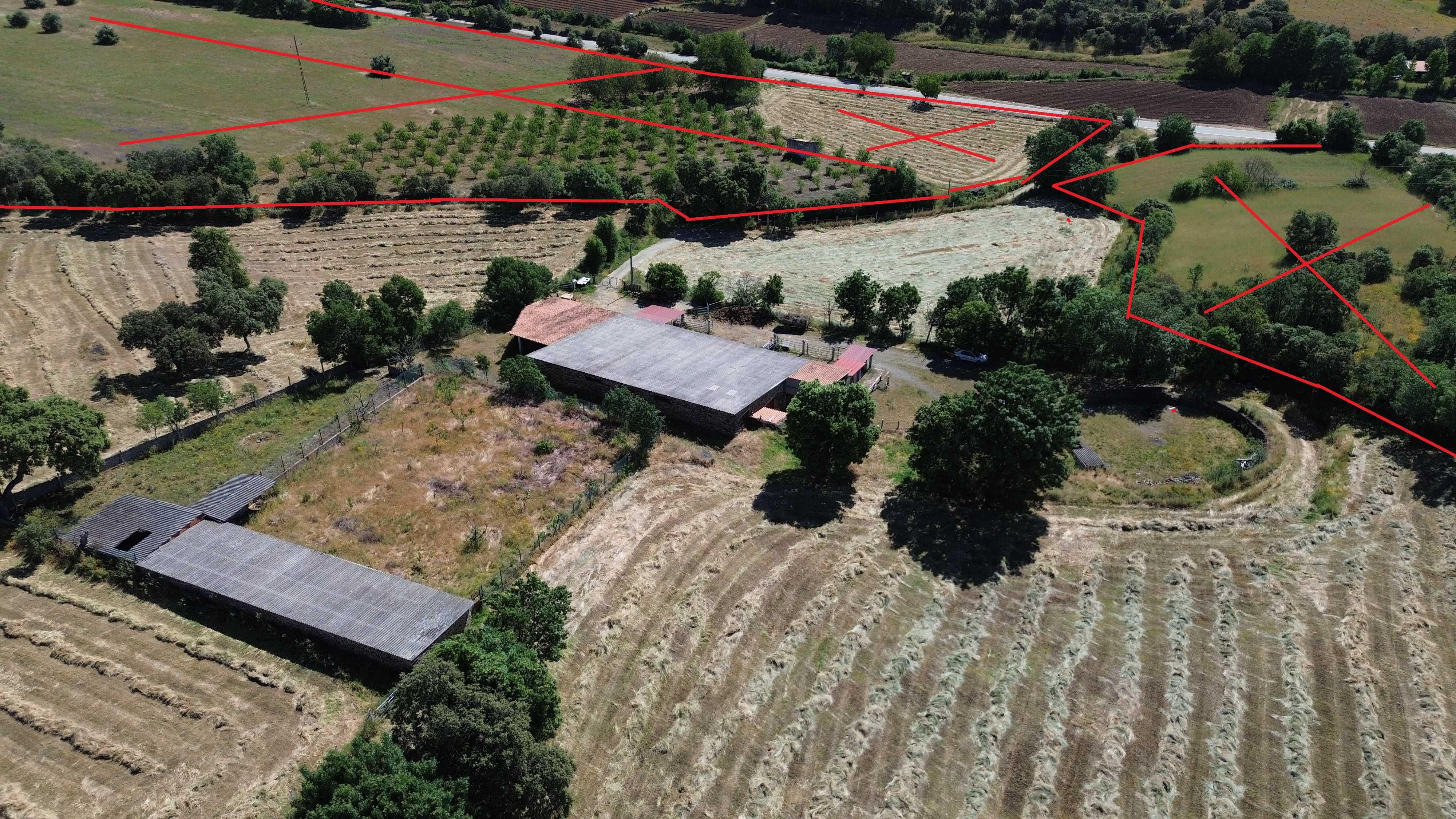 Oportunidade Única: Magnífica Quinta de 6 Hectares - Casa e Estábulos!