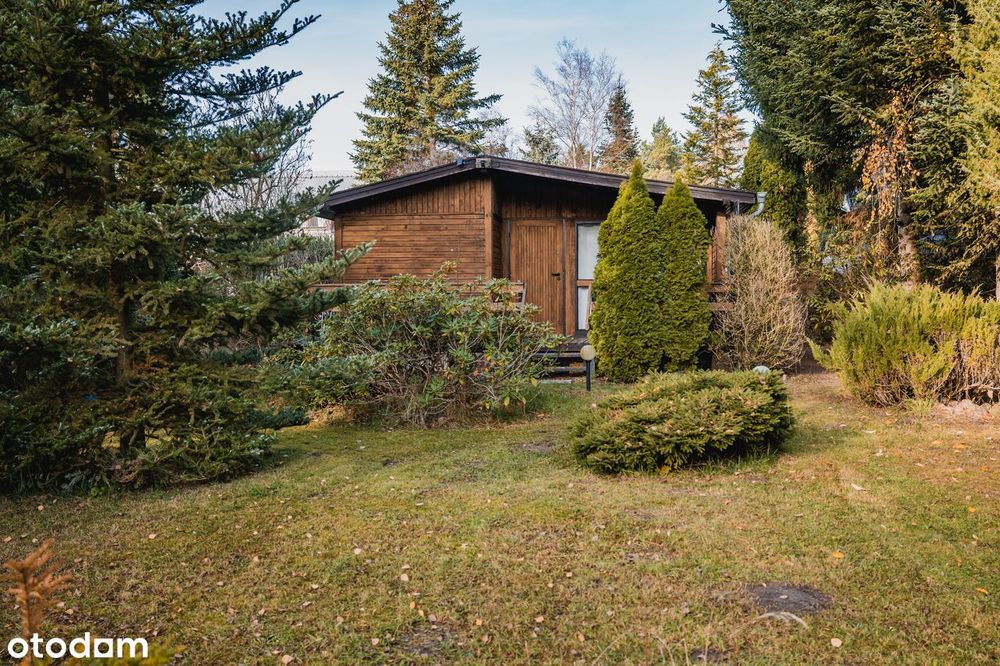 Sławica | Skoki | Piękna | Piękna Działka Z Domkiem Nad Jeziorem