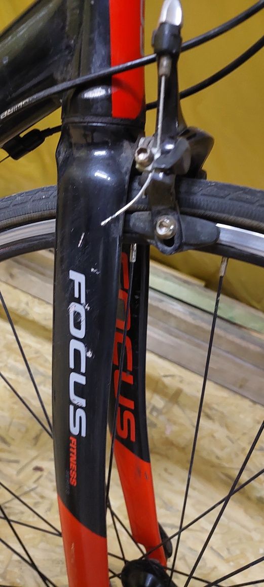 Rower szosowy Focus ARRIBA 28"