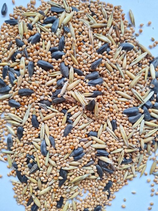 Pokarm dla papugi falistej 20 kg. GRATIS 200 G PROSA SENEGALSKIEGO