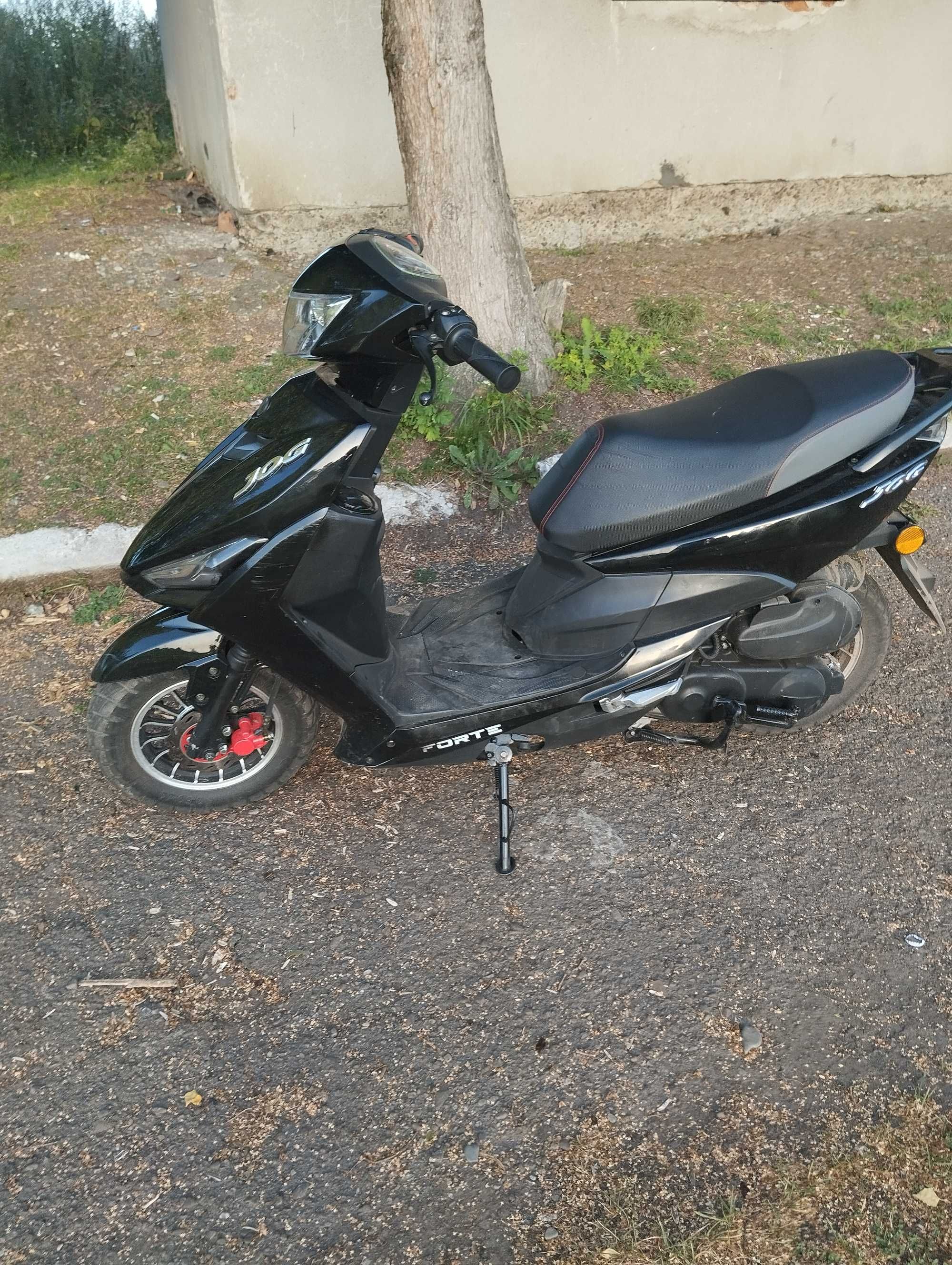 jog forte 80cc open