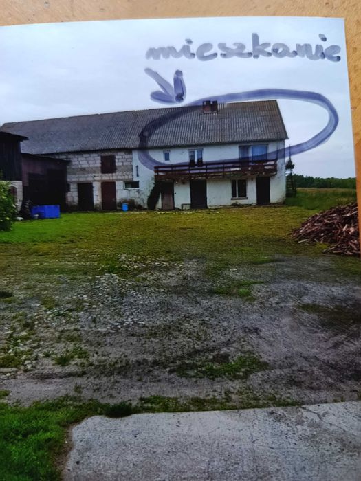 Sprzedam dom i mieszkanie na działce siedliskowej - 0.5 ha.