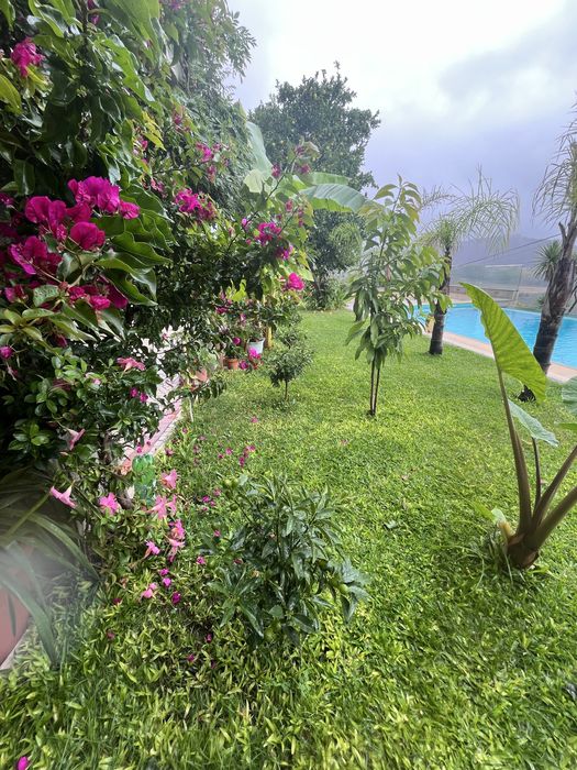 Oportunidade de investimento!