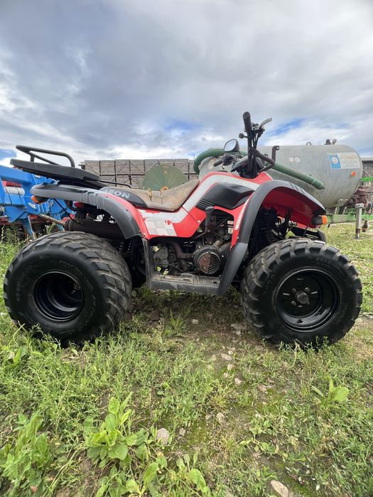Quad Aeon Cobra 180