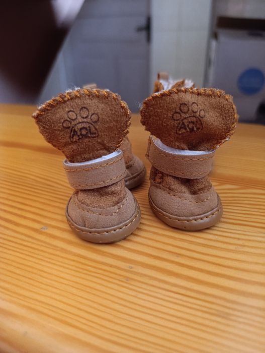 Взуття для собаки