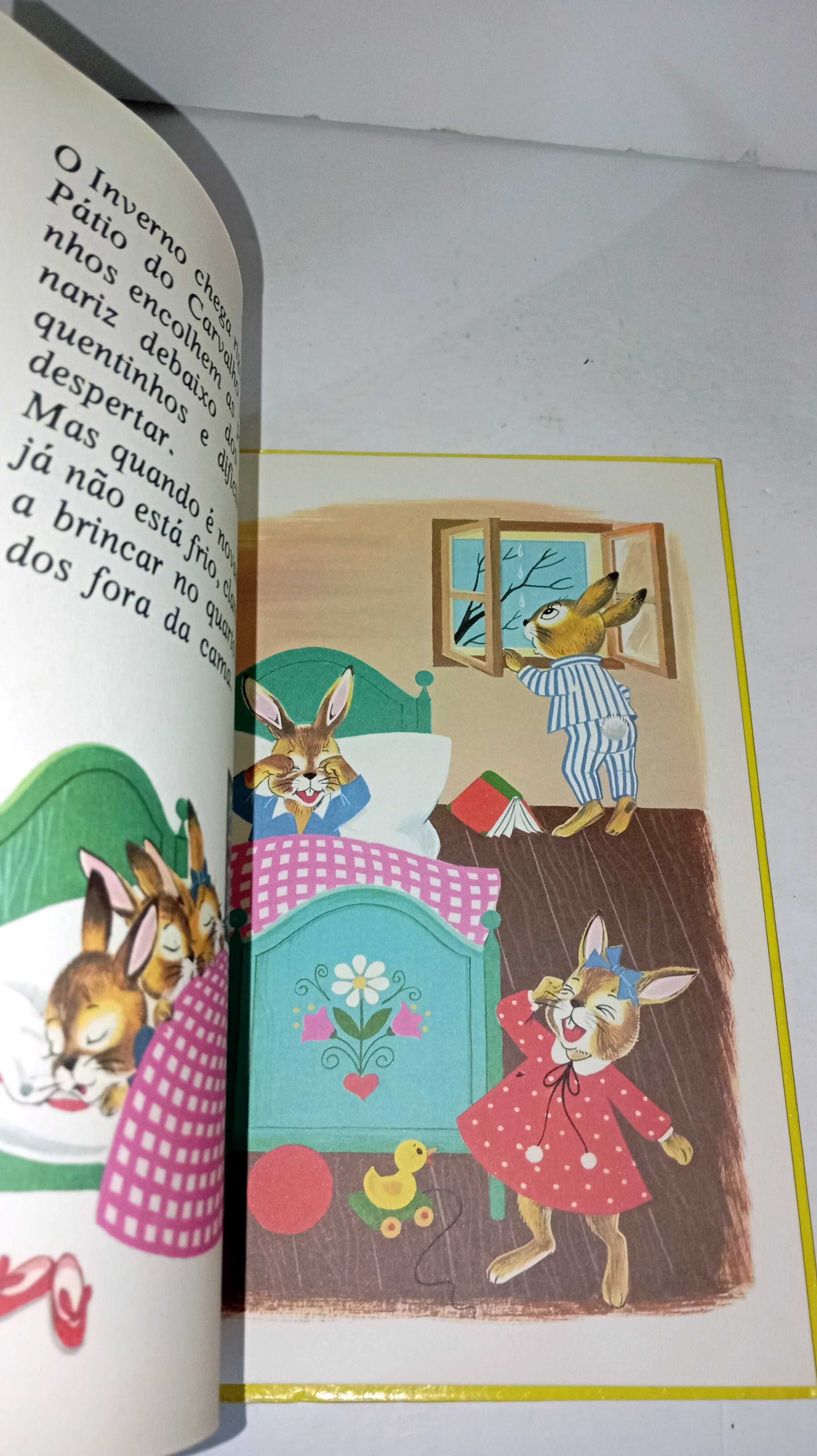 A Escola dos Coelhinhos - Majora