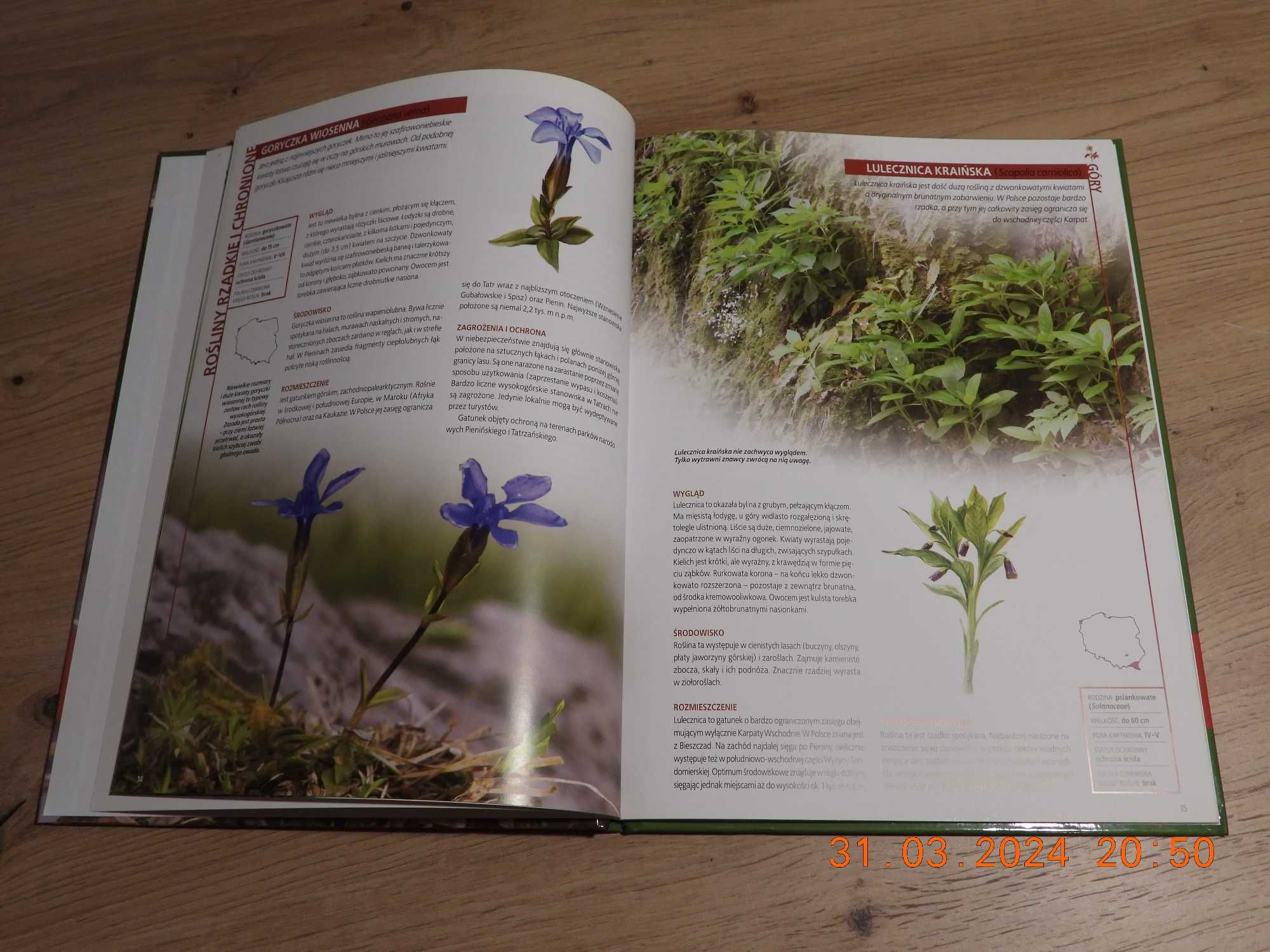 Encyklopedia Przyrody - Tom 7 Rośliny - Rzadkie i chronione