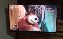 Smart tv Lg 50 polegadas