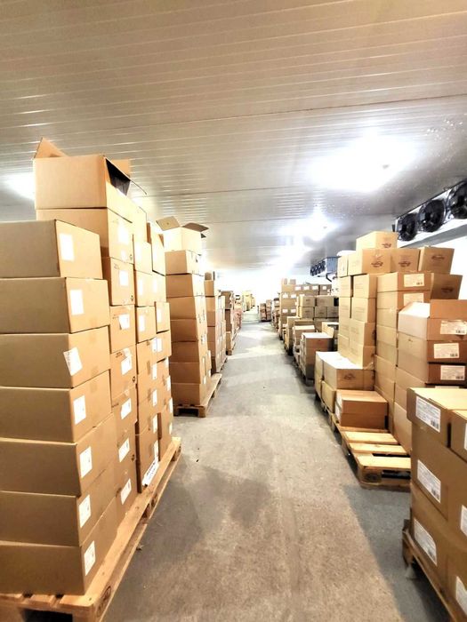 Magazyn do wynajęcia Chłodnia Mroźnia