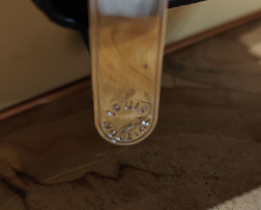 Portfel damski Louis Vuitton