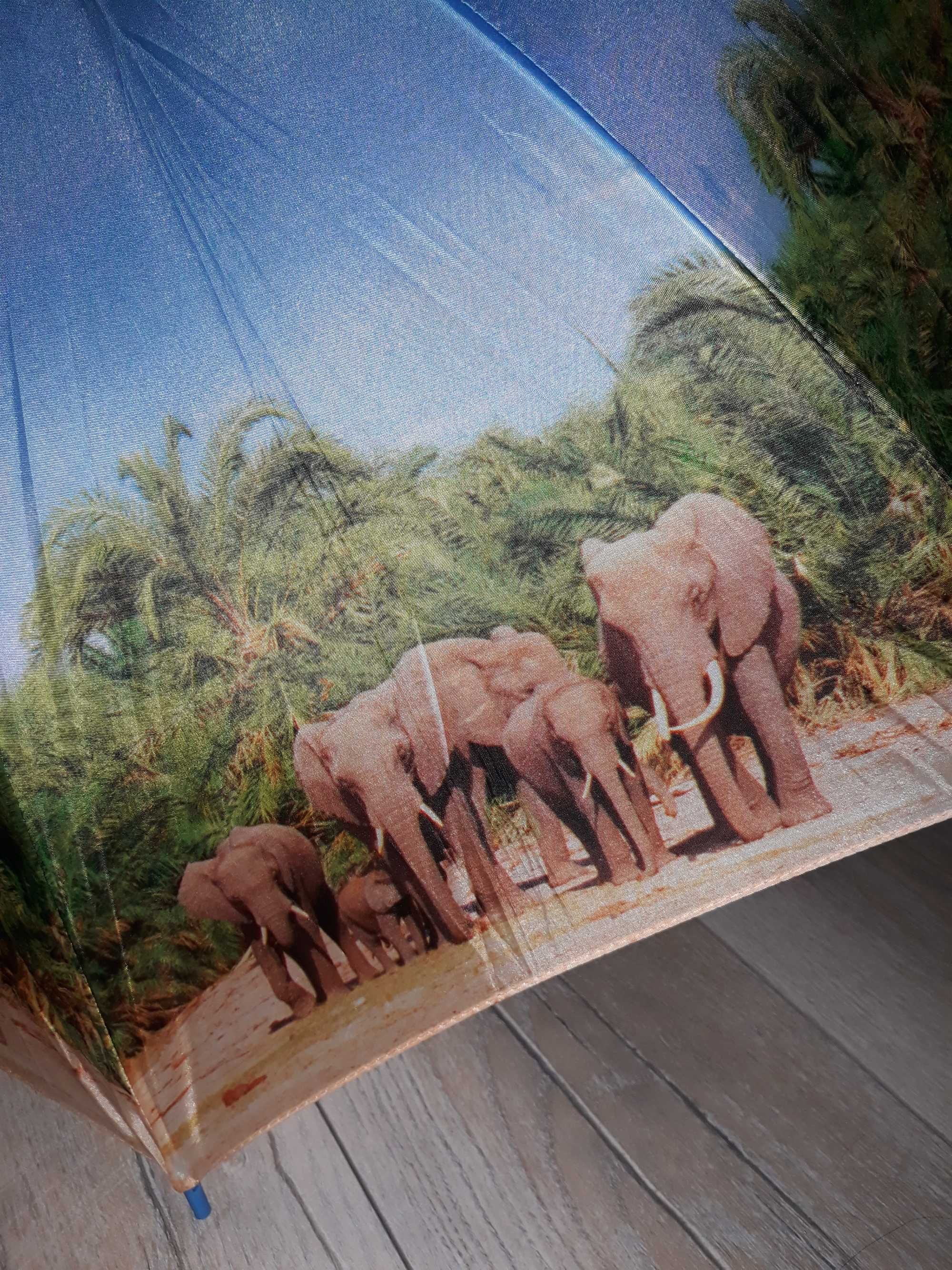 Parasolka w Słonie