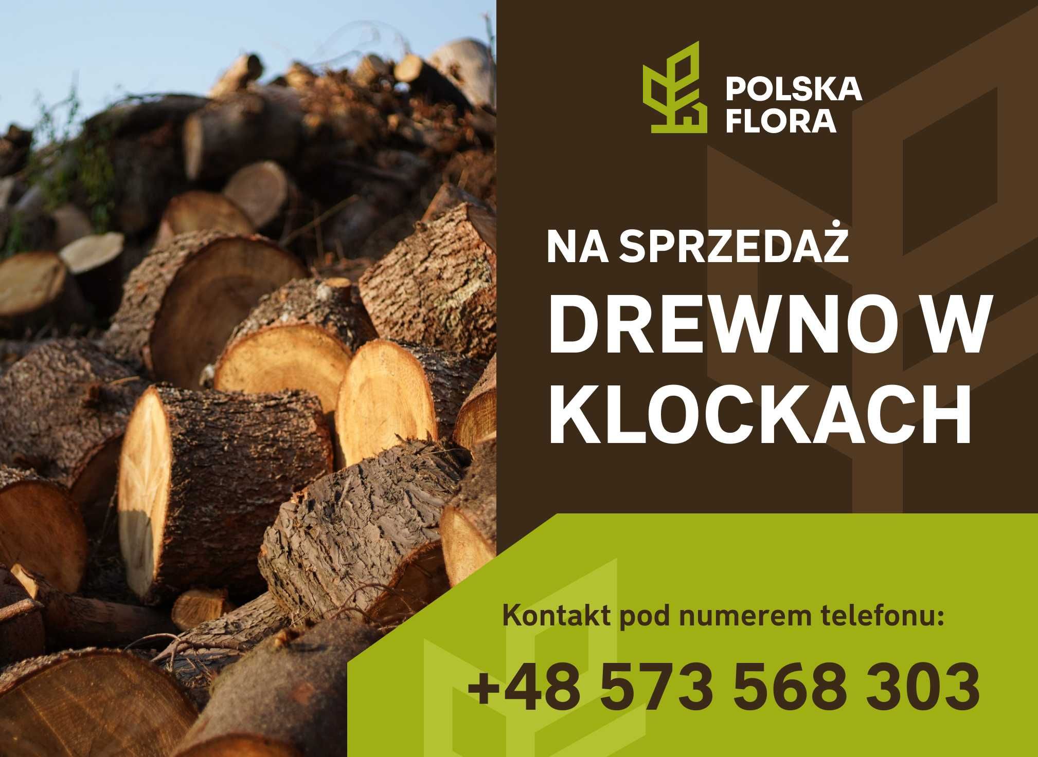 Drewno opałowe, kominkowe, iglaste, liściaste