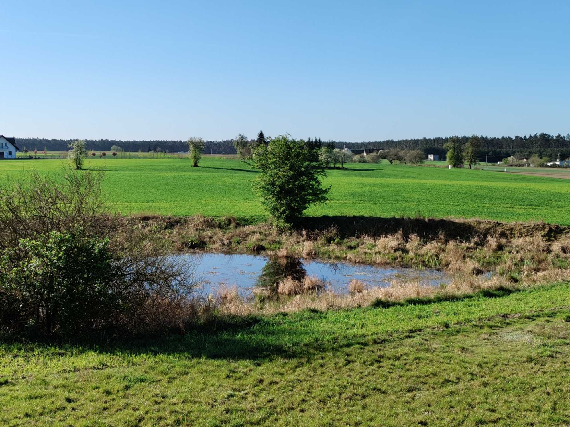 Działka Stary Jasiniec koło Koronowa