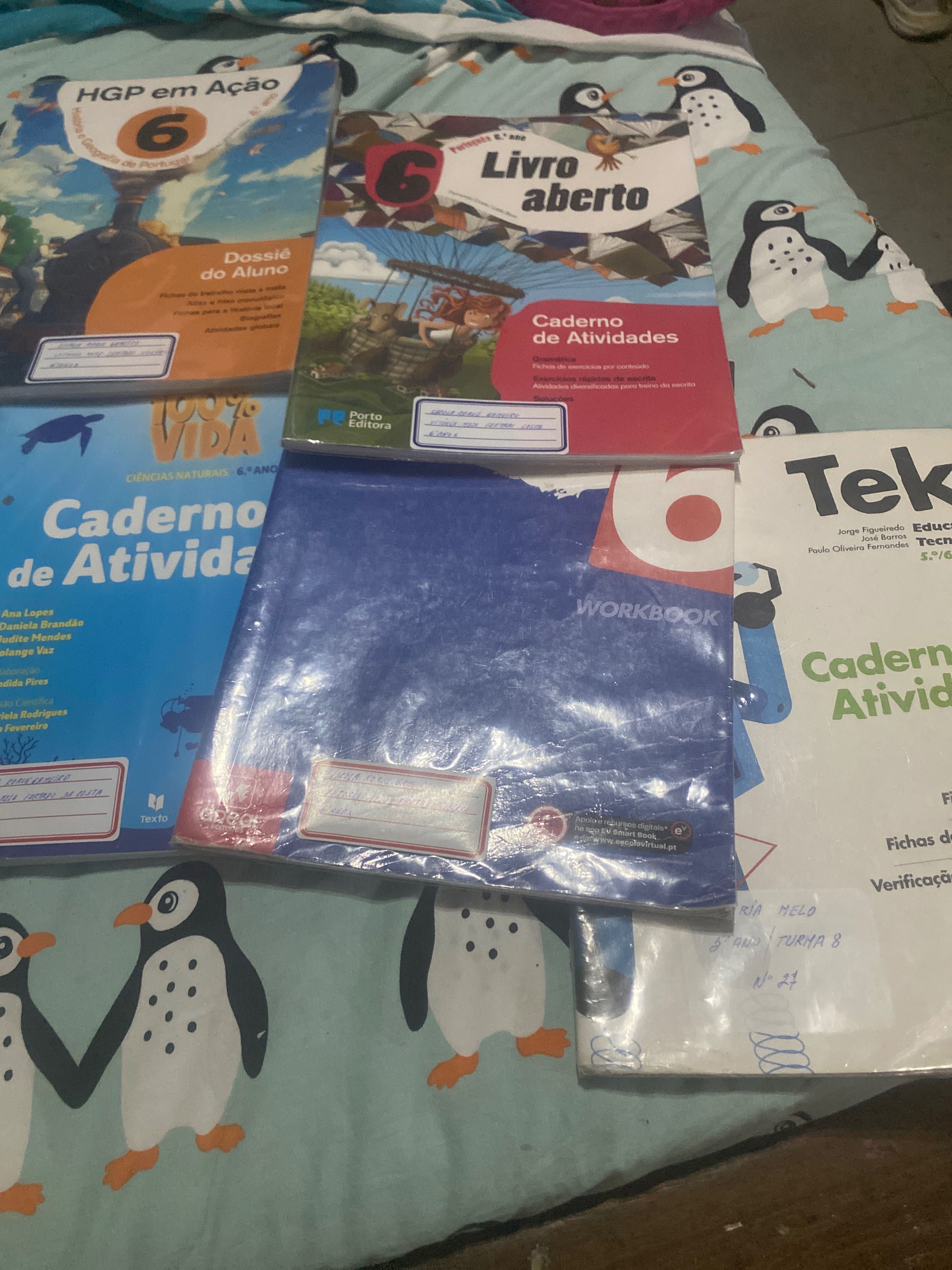 Livros escolares 6o ano só livro de actividades