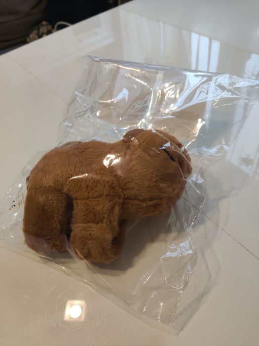 Maskotka, zabawka - Kapibara