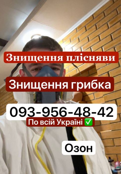 Удаление грибка , удаление плесени . Устранение грибка , плесени Озон