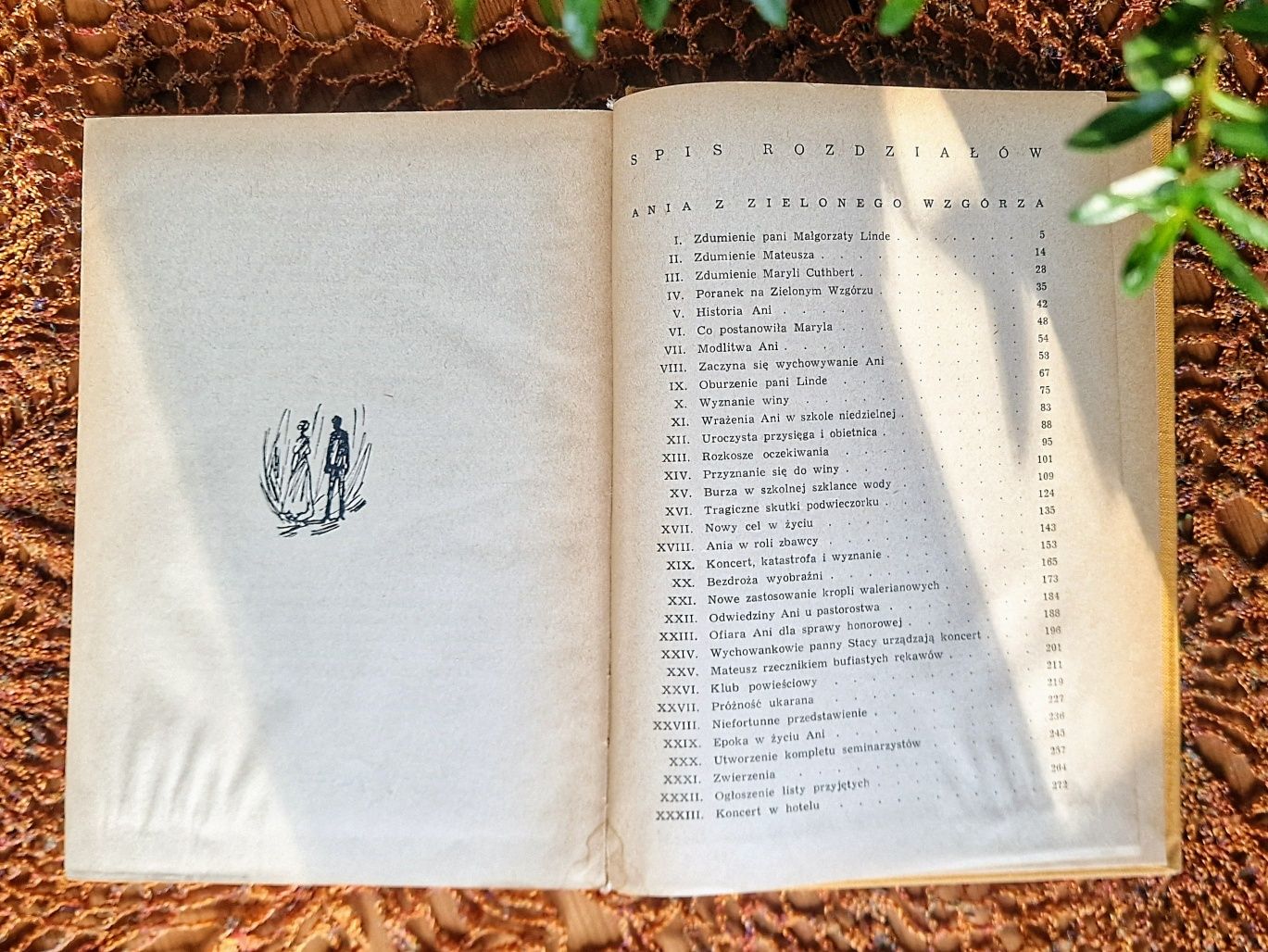 Ania z Zielonego Wzgórza i Ania z Avonlea - Lucy Maud Montgomery