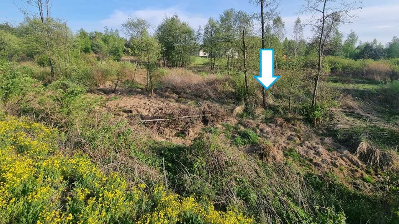 Duża działka w Kamionce (gm. Prażmów) z Warunkami Zabudowy