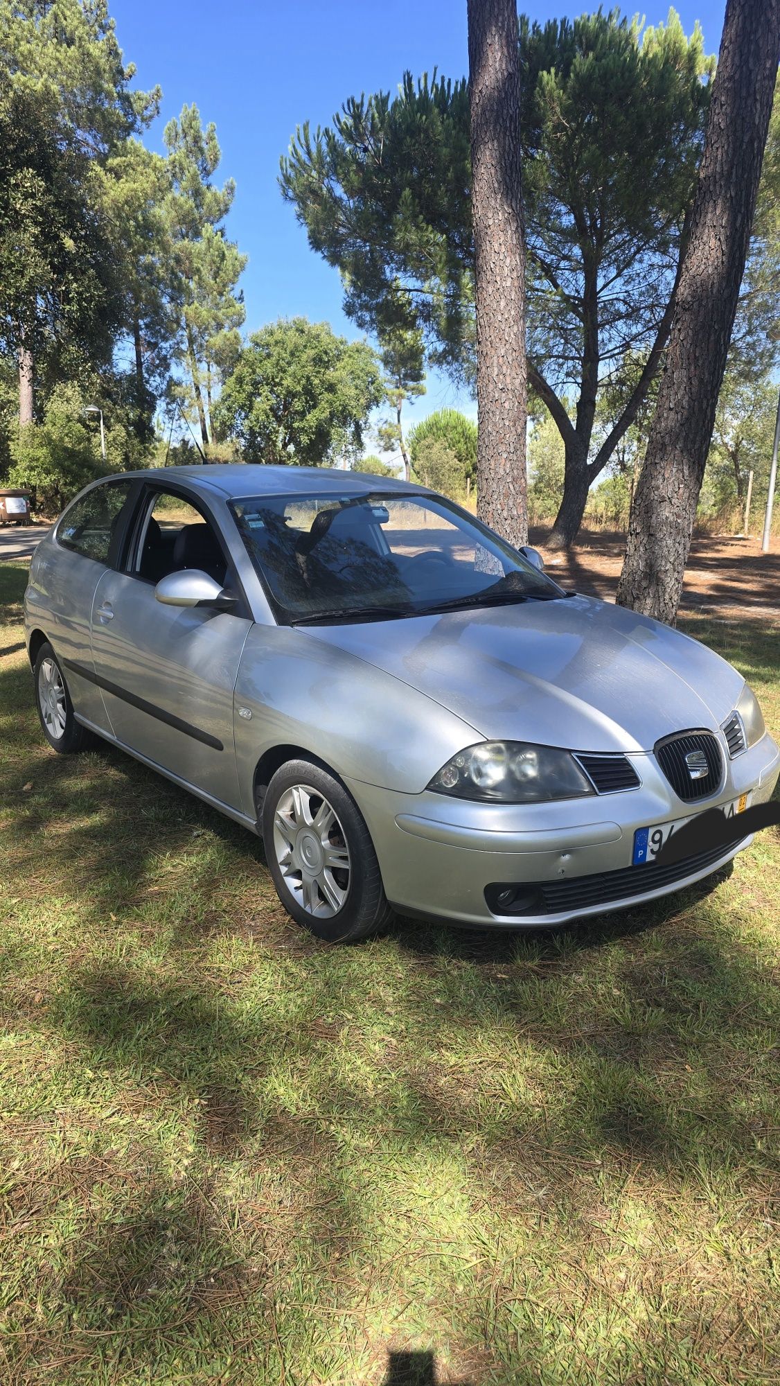 Seat Ibiza económico