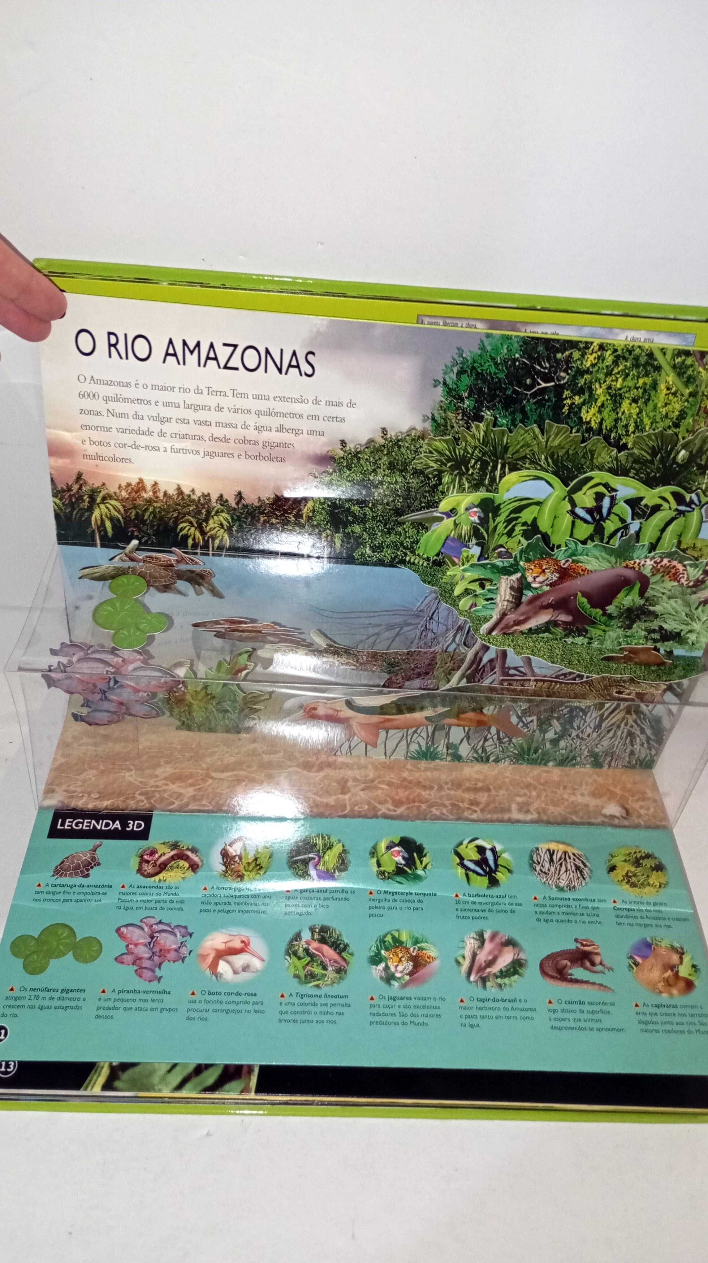 Floresta Tropical - Uma viagem do rio às copas das árvores -3D