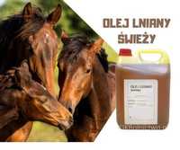 Olej lniany 5l -100% naturalny dla koni, zwierząt OLEJ SUROWY