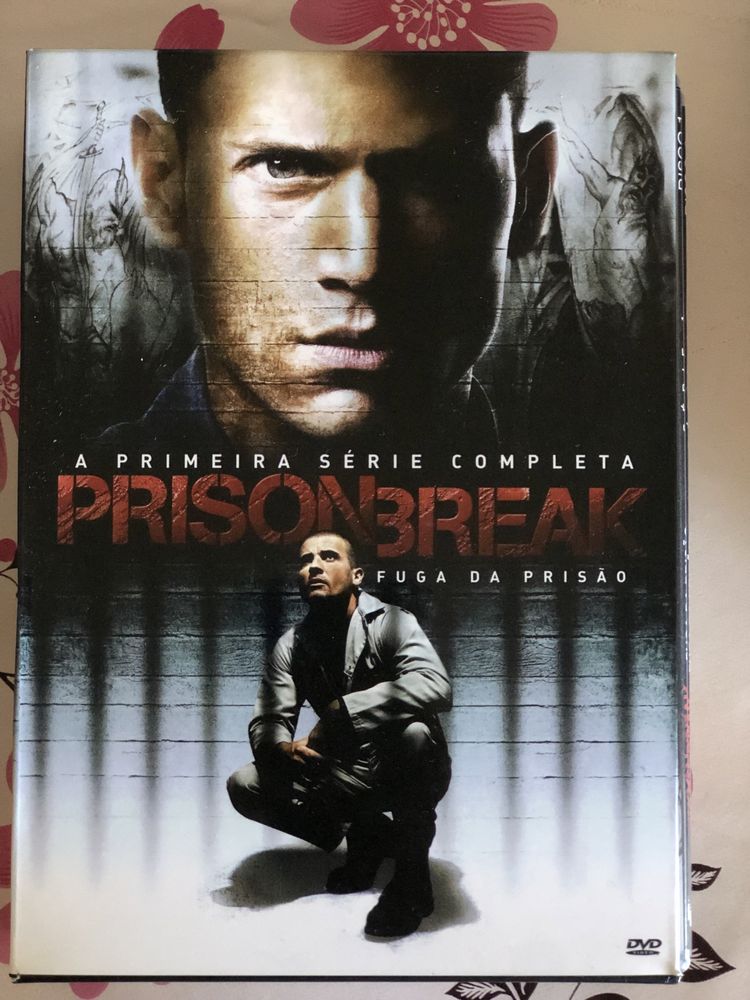 Temporada 1 Prison Break
