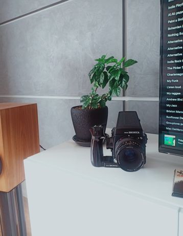 Среднеформатная камера Bronica GS-1, 6x7cm(Hasselblad, Mamiya, Rollei)