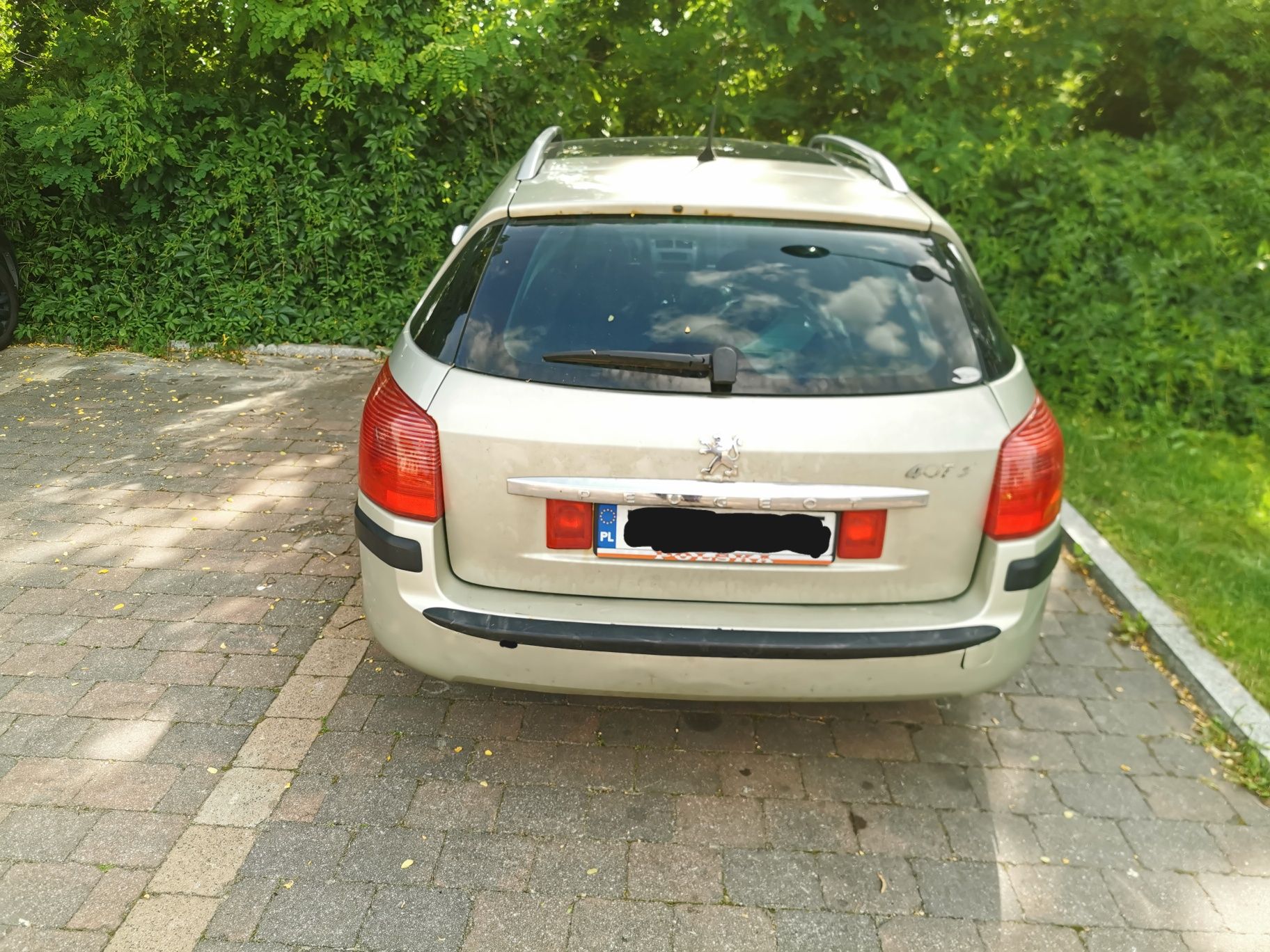 Peugeot 407 WS 2007r