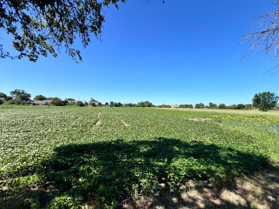 Продаж будинку в Пулинах