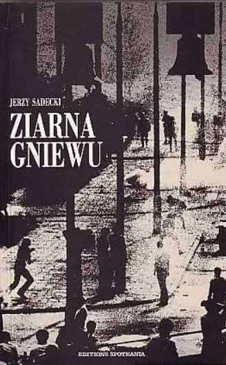 Ziarna gniewu - Jerzy Sadecki