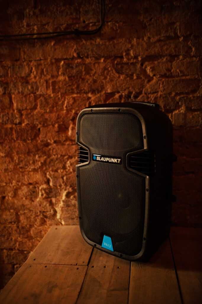 Kolumna aktywna BLAUPUNKT PA12 Mikrofon Karaoke BLUETOOTH Głośnik