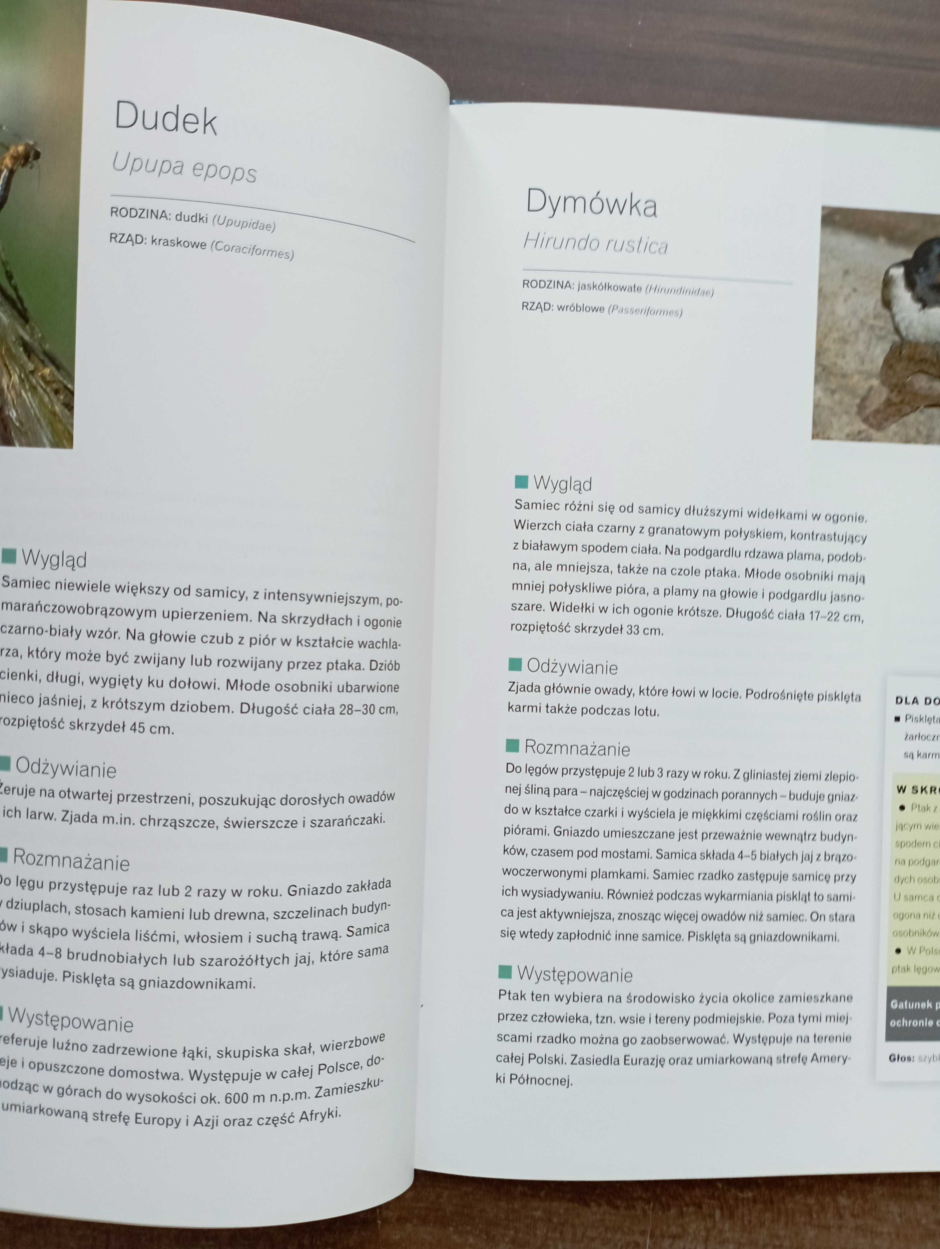 Atlas ptaków polskich Anna Przybyłowicz