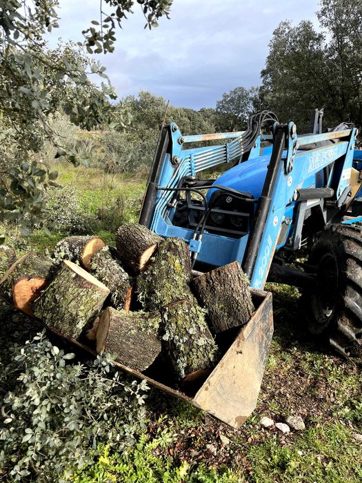 Serviços de manutenção de matos e agrícolas