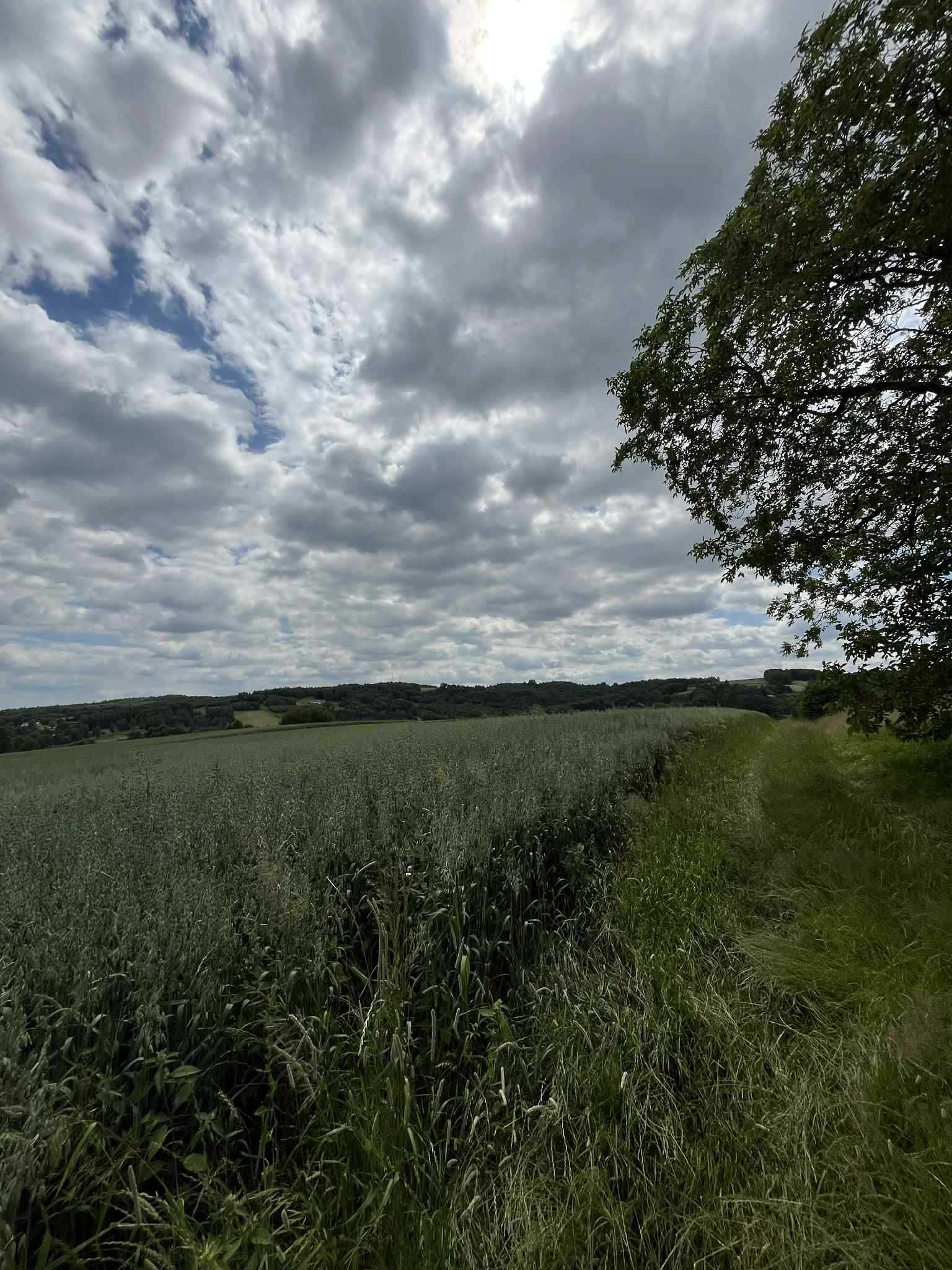 Widokowa działka w Husowie 32 ary