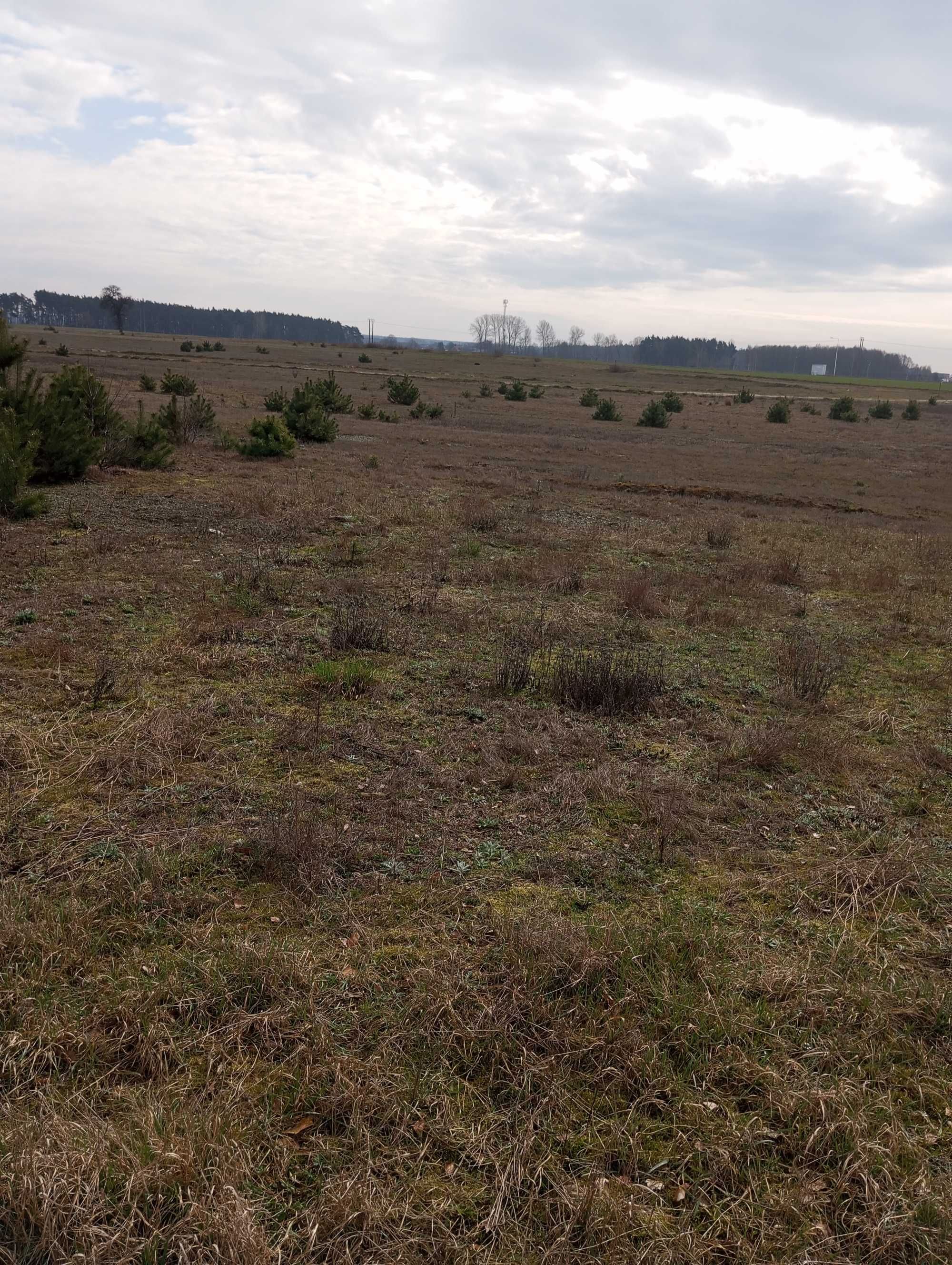 Działka budowlana 950 m2 - Jankowo Dolne pod Gnieznem