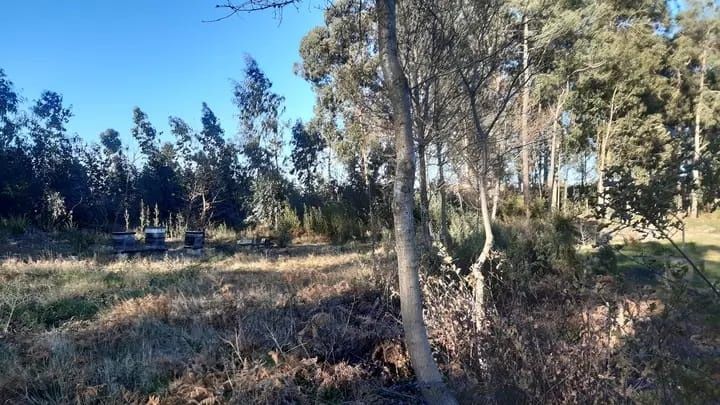 Terreno para venda Penafiel