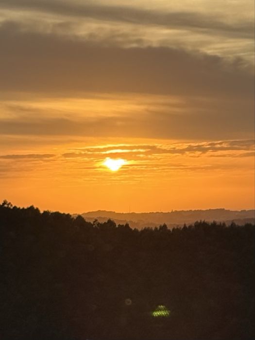 Massagem  relaxante  e  terapeutica