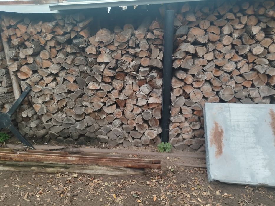 Drzewo dębowe sezonowane piec / kominek