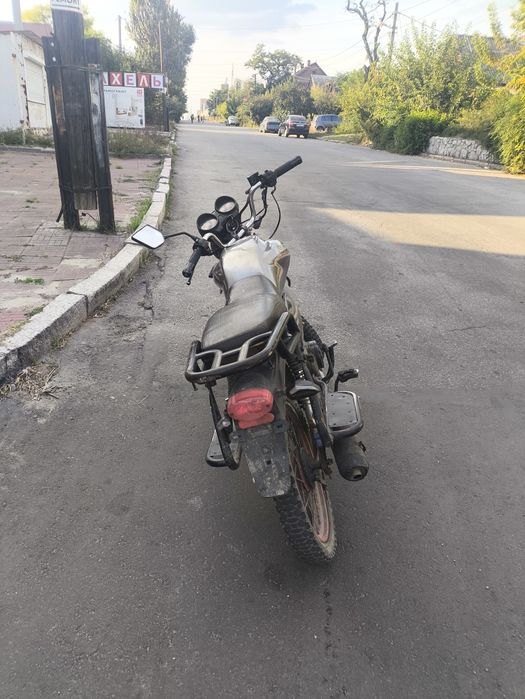 Mustang dingo 125