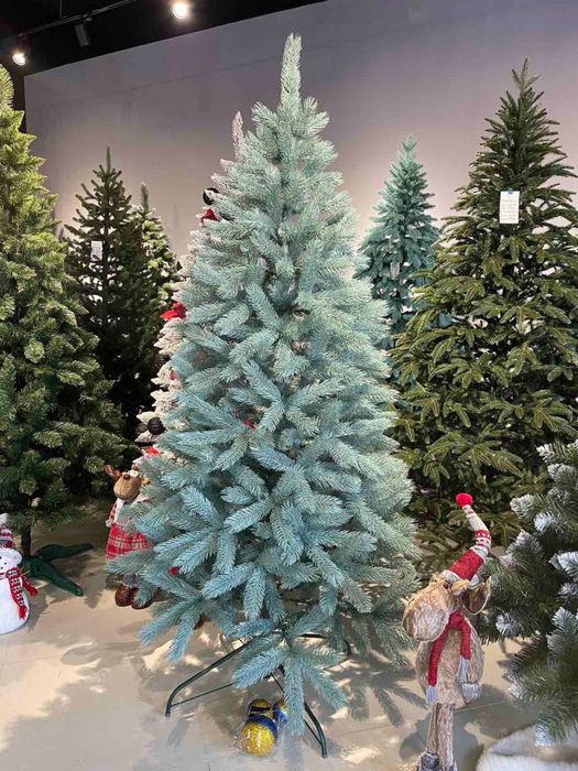 Лита ялинка Буковельська 1,5м - 2,5 м