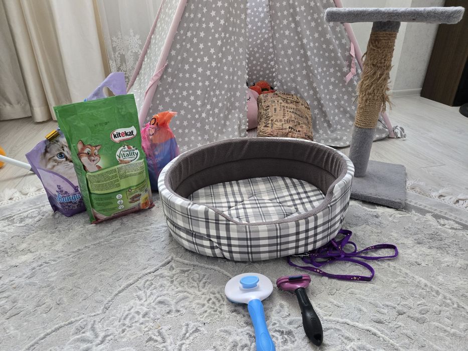 Лежанка для кота, пуходерка, гребінець, фурмінатор, повідок
