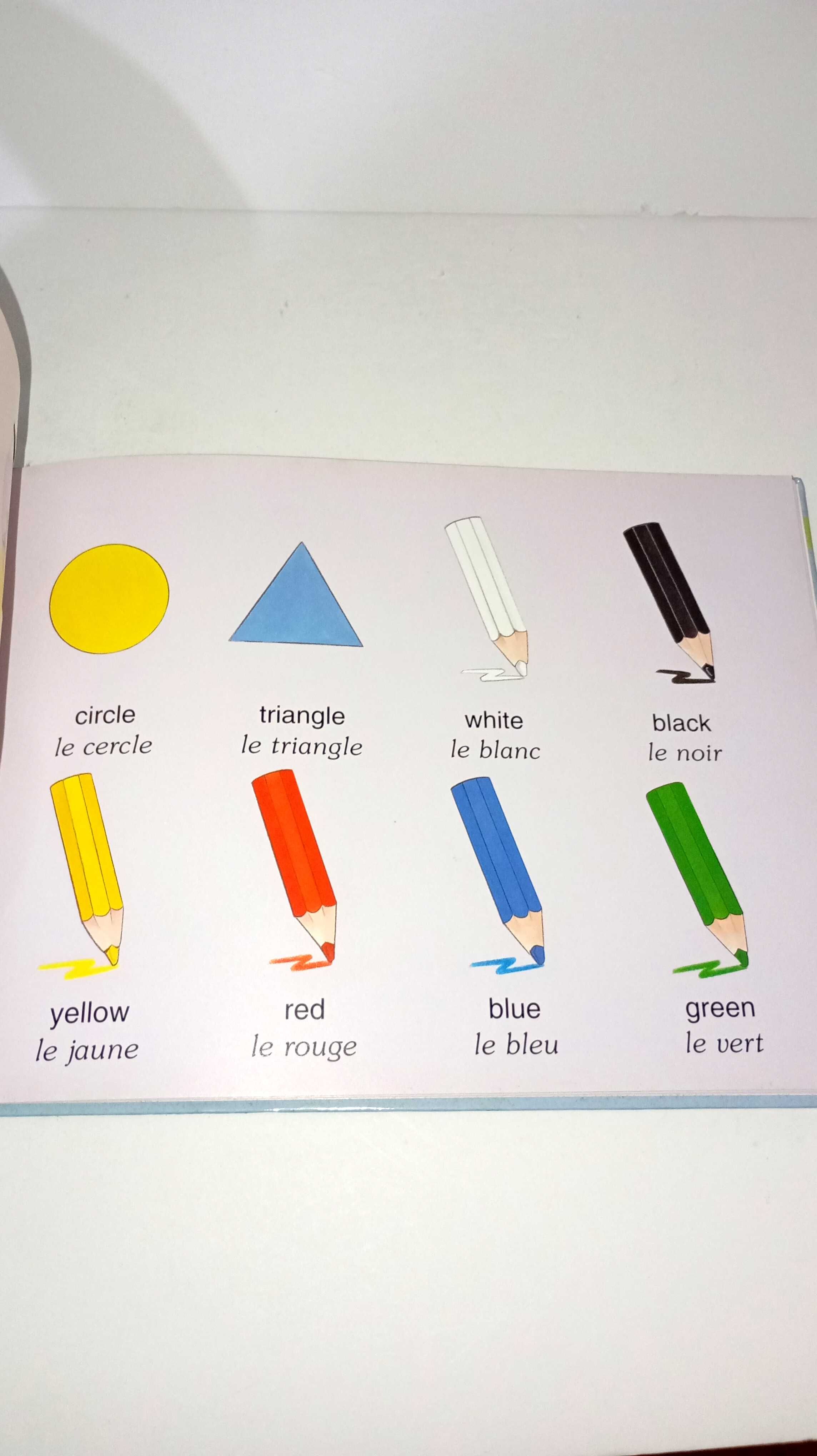 Mais Palavras engraçadas -Dicionário trilingue