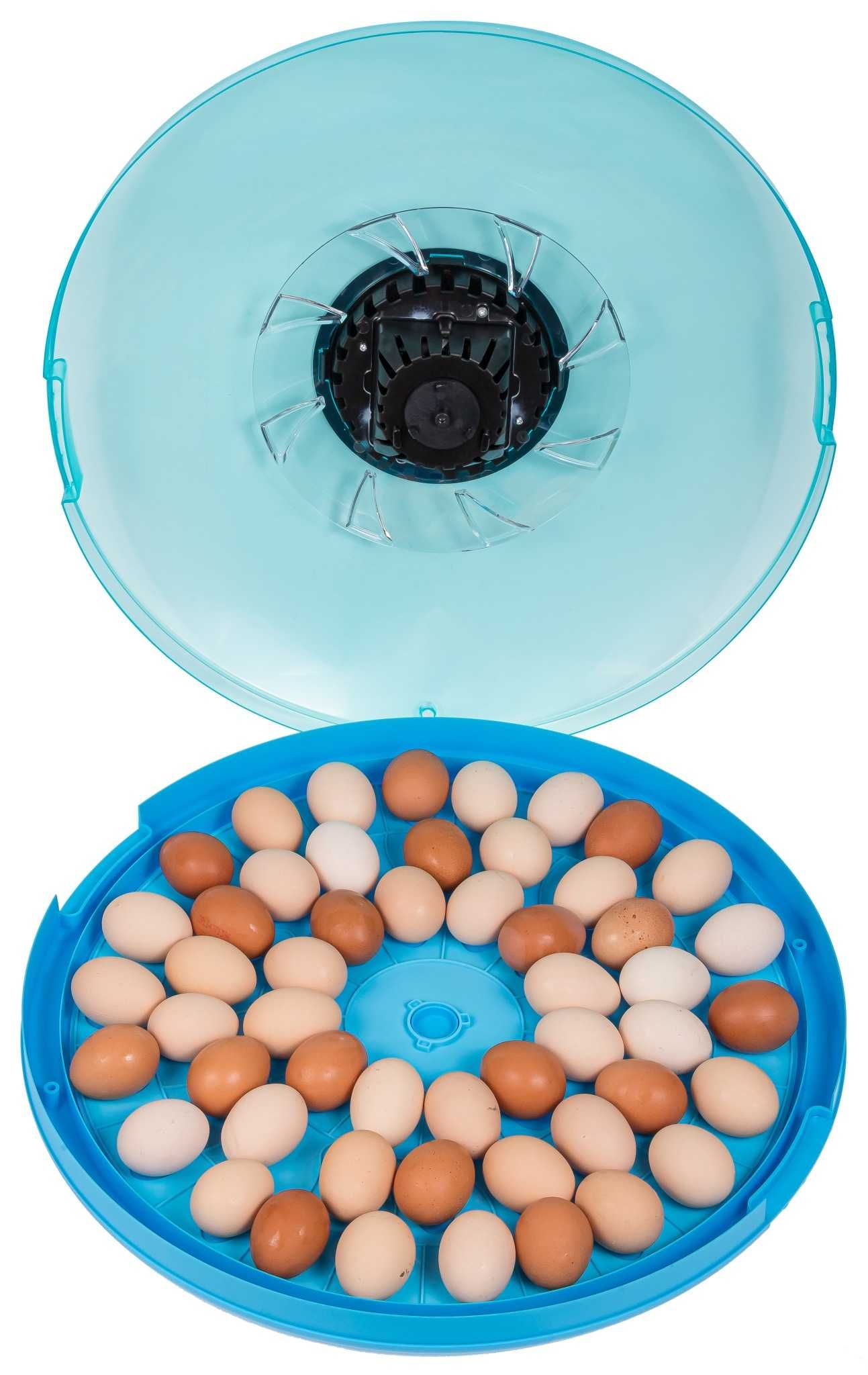 Inkubator na 52 jaj (klujnik wylęgarka)