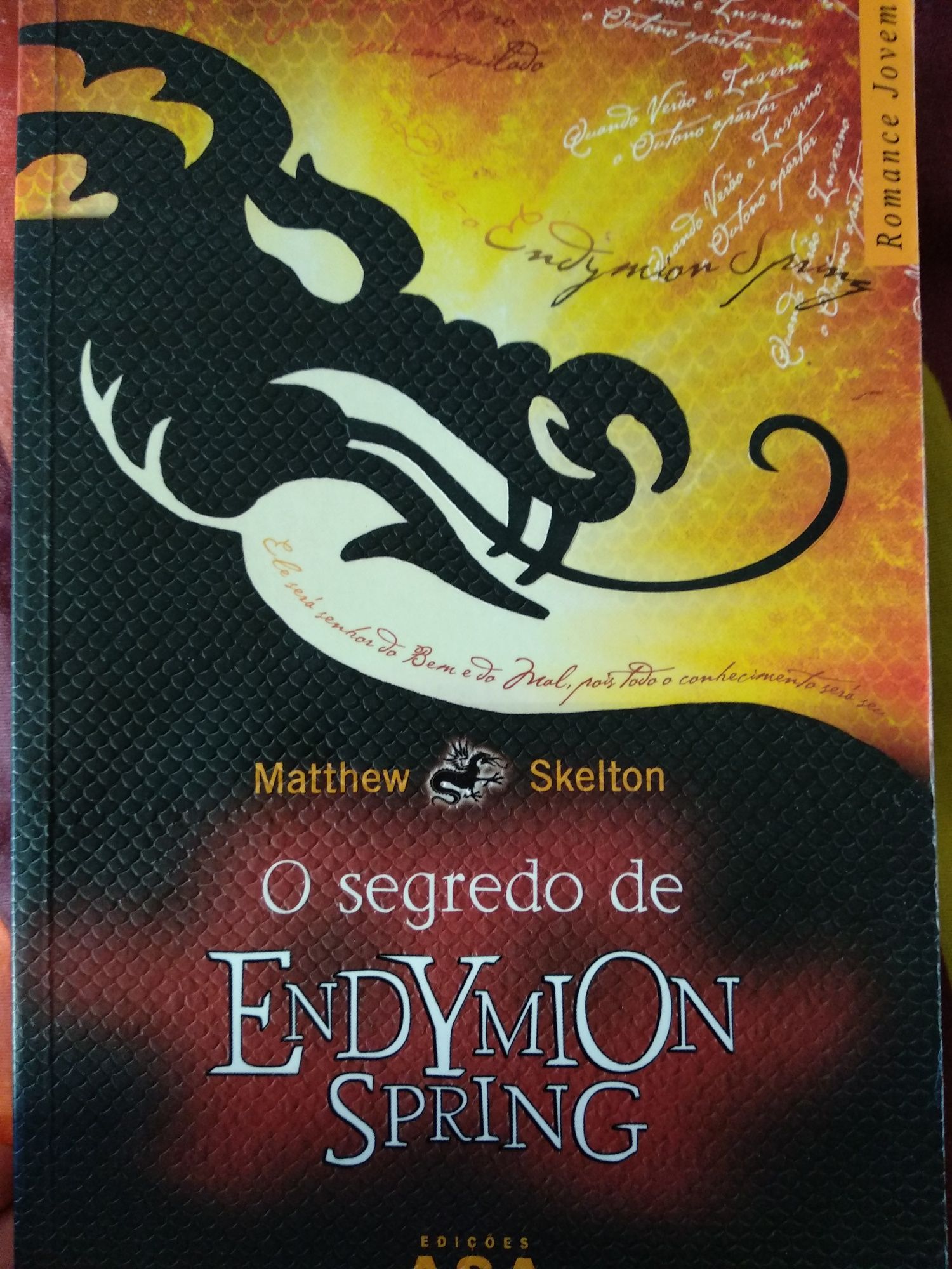 O segredo de Endymion Spring - Matthew Skelton