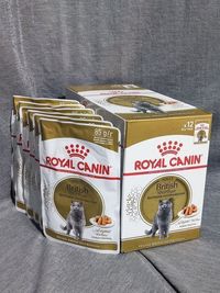 85g*12 Royal Canin British Shorthair Adult pouches wet вологий пауч