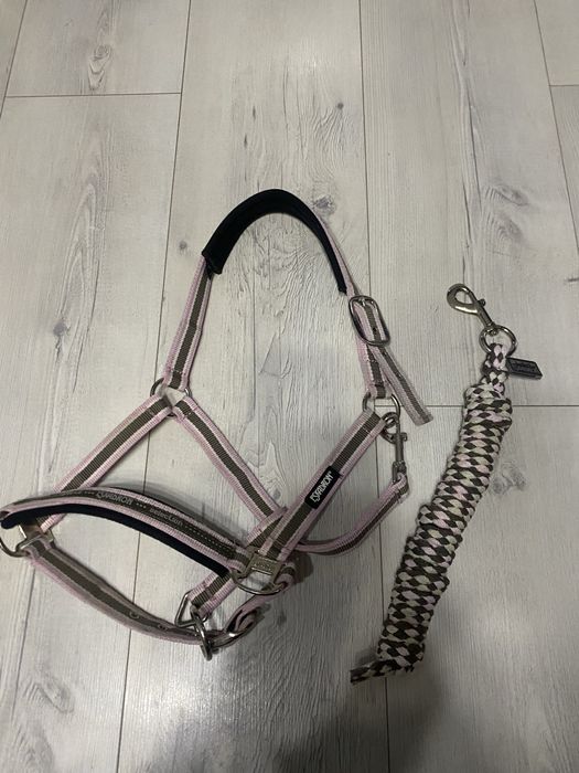 Kantar eskadron z uwiązem