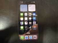 iPhone 16 Pro Max 256GB 100%