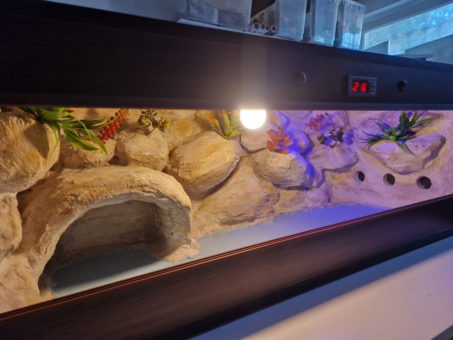 Terrarium na zamówienie dla żółwia 100x40x40